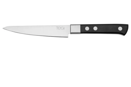 Maserin TEGI 2500-12PN Couteau à Steak Noir, 12 Cm -Les Couteaux Soldes ME2500 12PN 01 maserin scaled