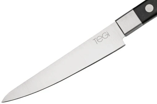 Maserin TEGI 2500-12PN Couteau à Steak Noir, 12 Cm -Les Couteaux Soldes ME2500 12PN 03 maserin scaled