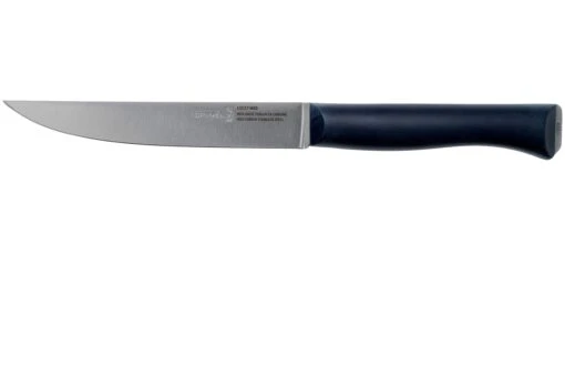 Opinel Intempora Couteau à Viande No. 220, 16 Cm -Les Couteaux Soldes OP002220 01 opinel intempora scaled