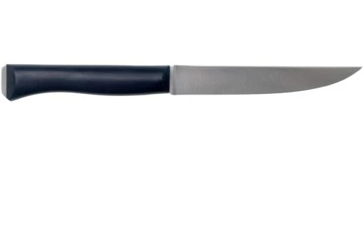 Opinel Intempora Couteau à Viande No. 220, 16 Cm -Les Couteaux Soldes OP002220 02 opinel intempora scaled