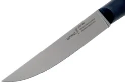 Opinel Intempora Couteau à Viande No. 220, 16 Cm -Les Couteaux Soldes OP002220 03 opinel intempora scaled