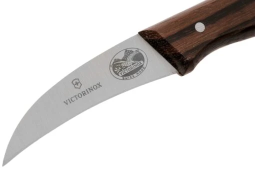 Victorinox Wood 5.3100 Couteau Bec D'oiseau, 6 Cm -Les Couteaux Soldes VT5 3100 03 victorinox scaled